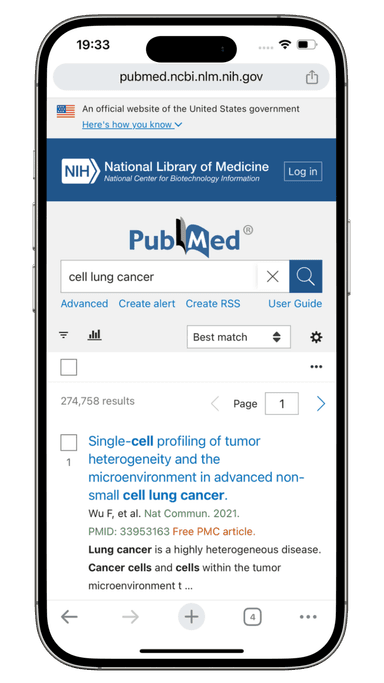 PubMed Interface